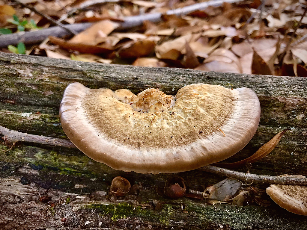 Just one  - ID: 16060085 © Elizabeth A. Marker
