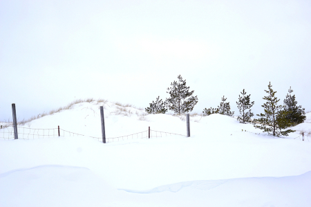 On the dunes in winter