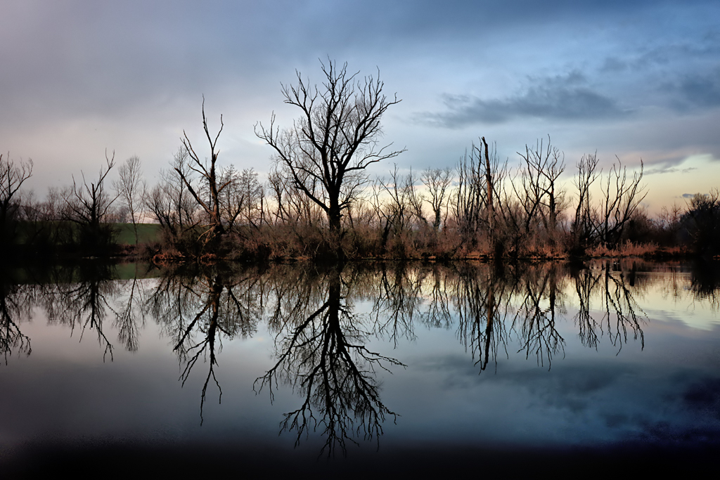 Reflection