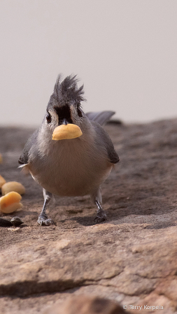 Grabbing a Snack!!