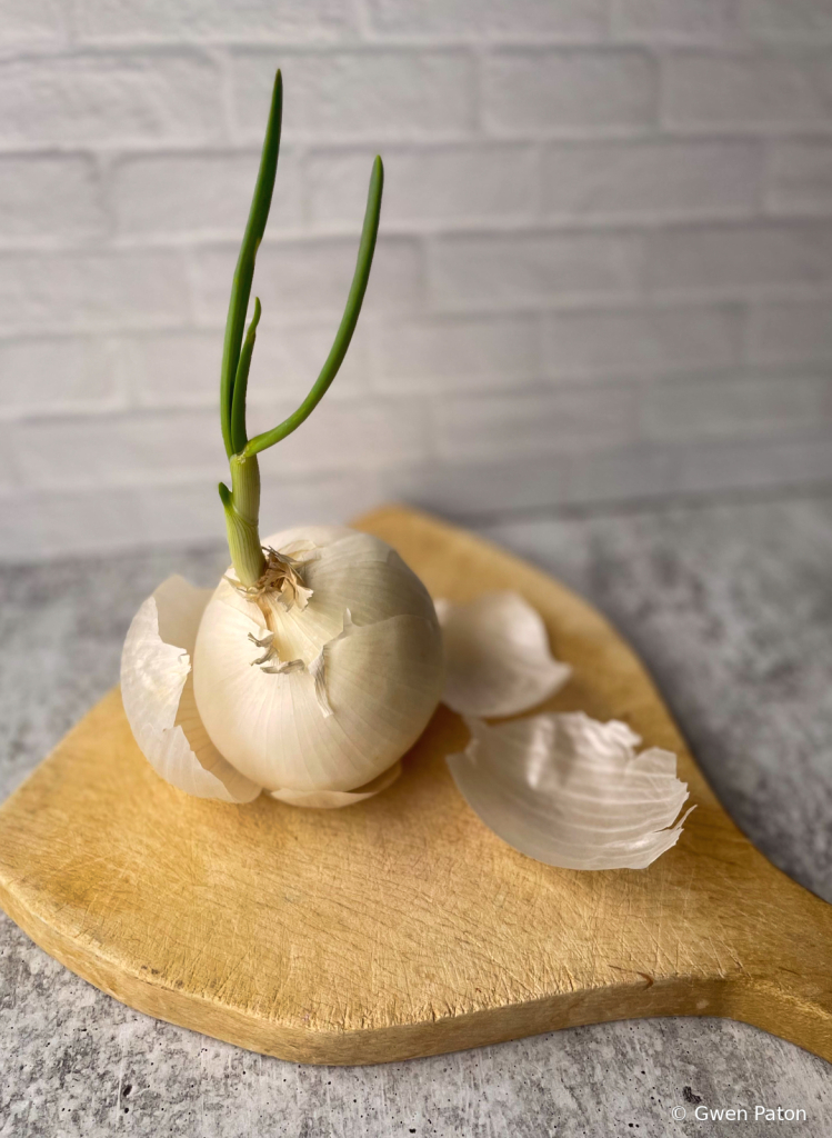 Growing Onion