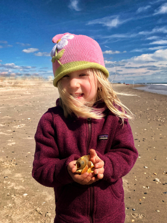 Collecting Shells 