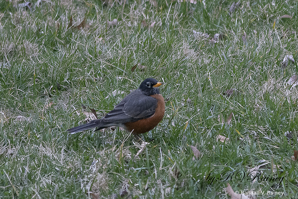 img3