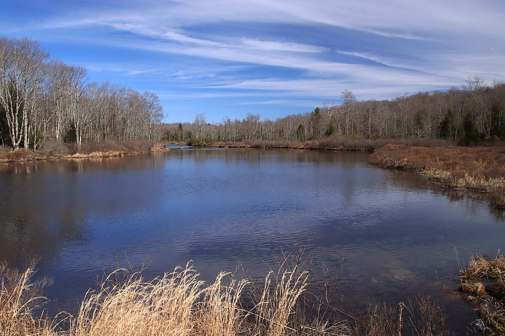 Blackwater River