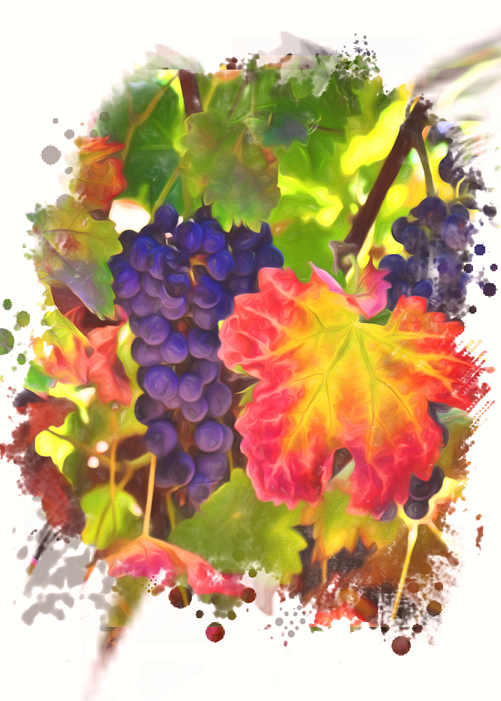 Artistic Grapes