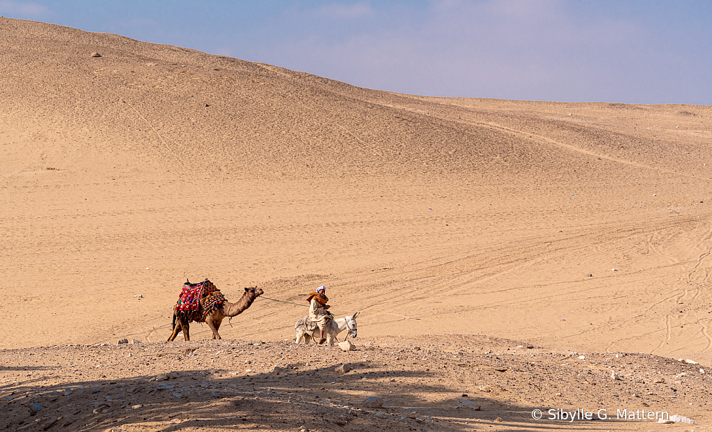 Through the desert - ID: 16060412 © Sibylle G. Mattern