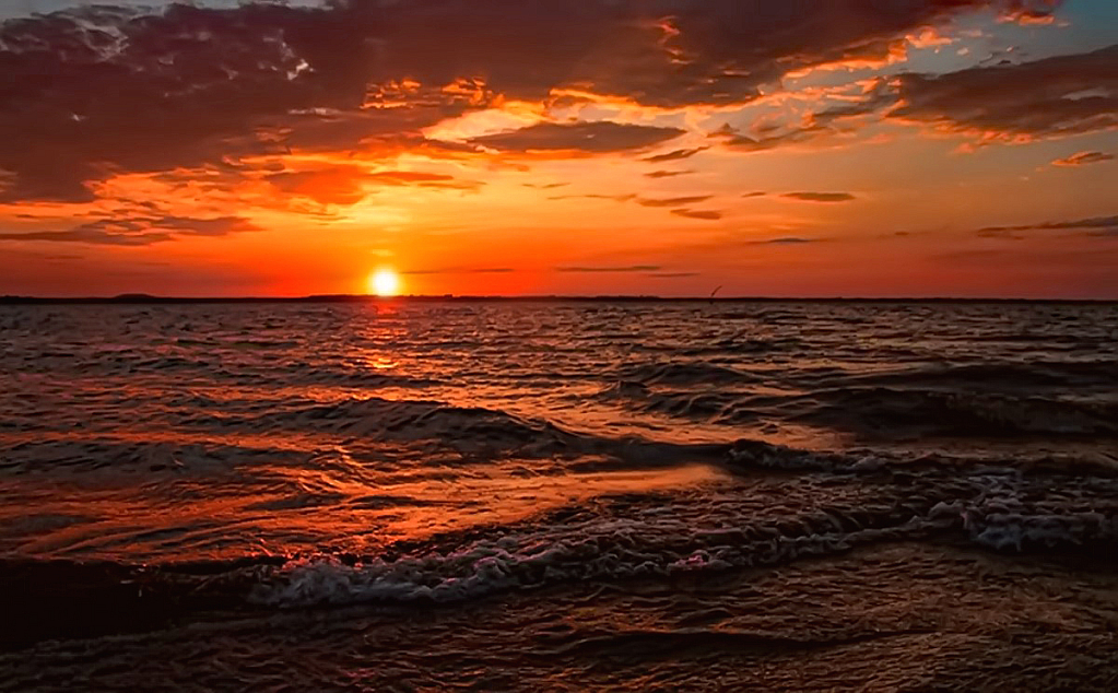 Washing Ashore