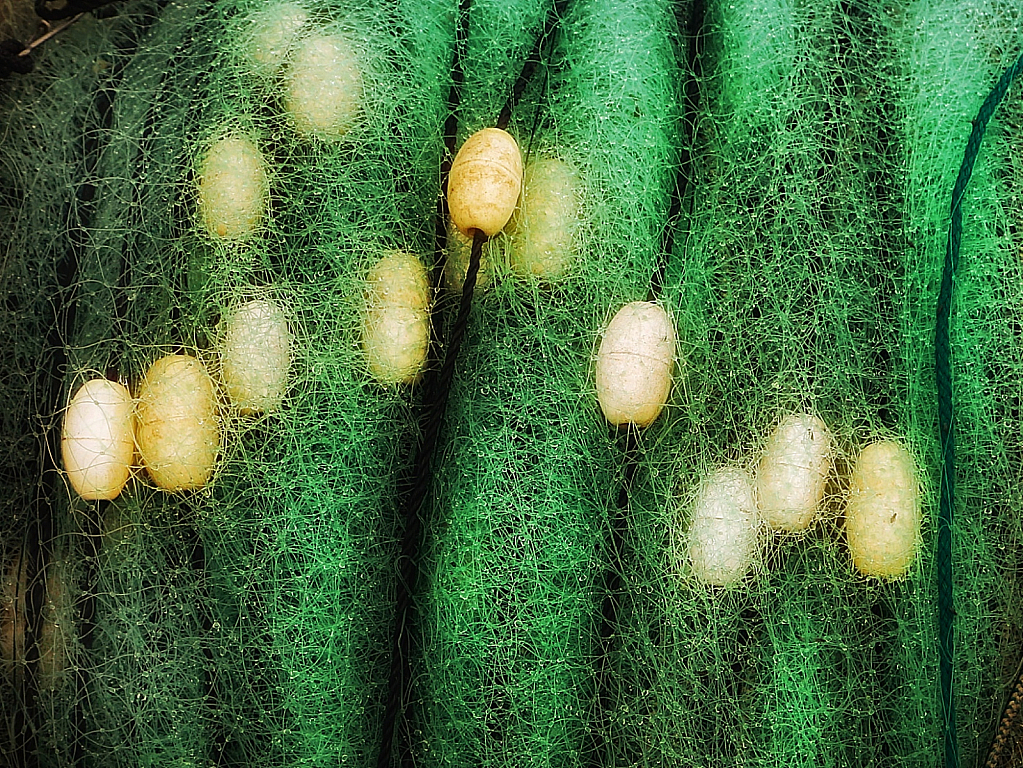 Nets on a Carolina Shrimper