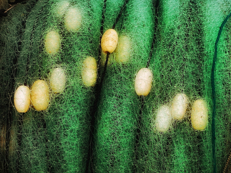 Nets on a Carolina Shrimper