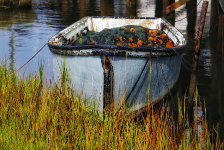 Skiff With Nets