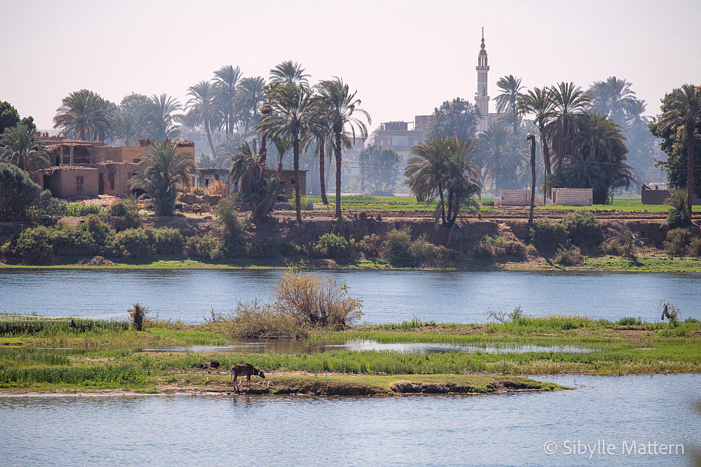 On the Nile - ID: 16060571 © Sibylle G. Mattern