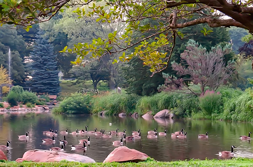 East Park Goose Pond