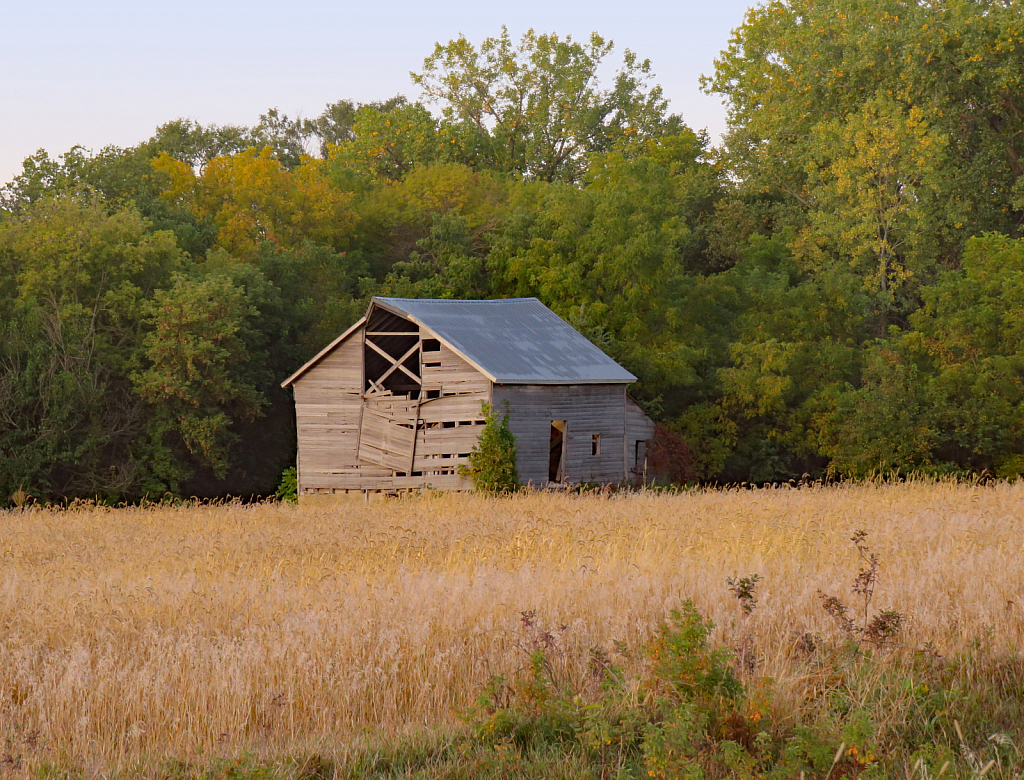 Little Barn (2)