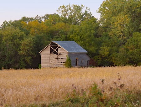 Little Barn (2)