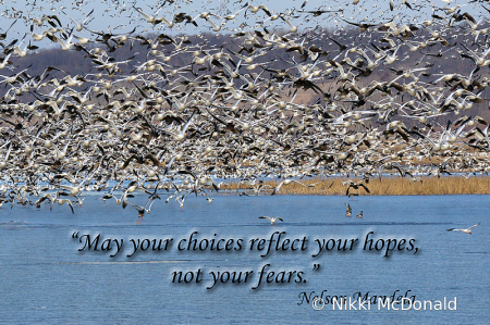 Hopes, Not Fears