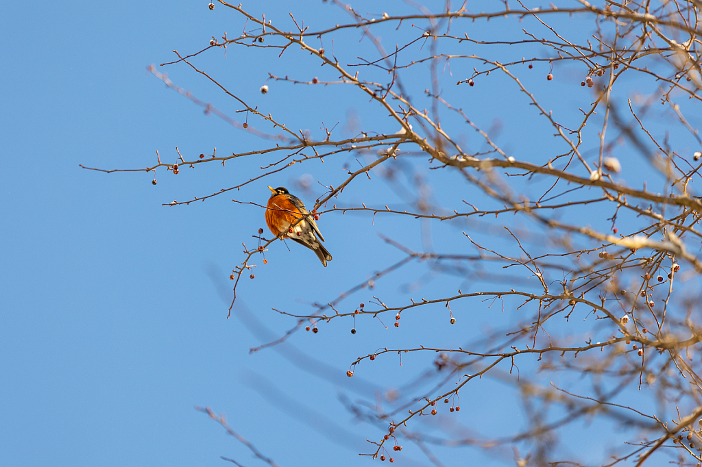 Between Winter & Spring