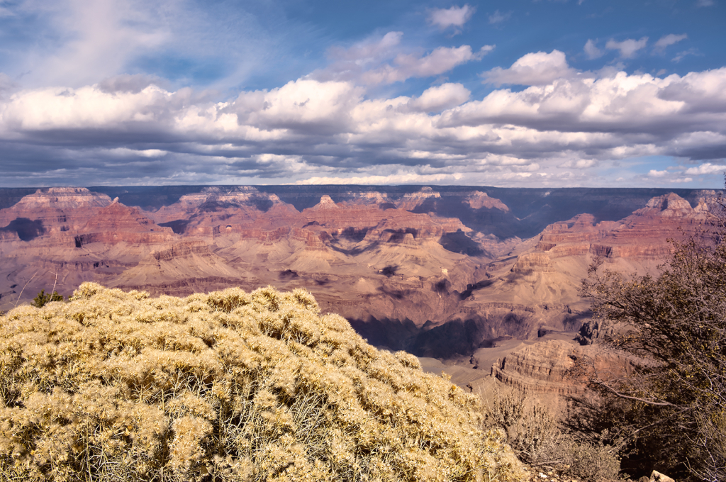 Grand Canyon Bouquet - ID: 16060896 © Kelley J. Heffelfinger