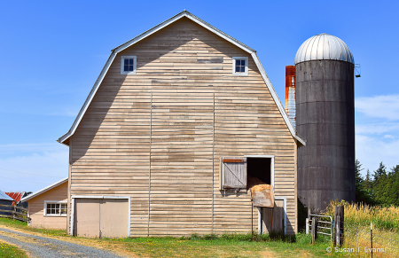 Beige Barn