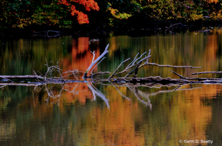 Abstract Fall Reflections 