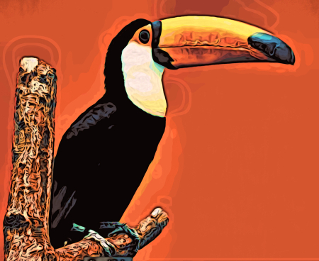 Tucan - moku hanga style