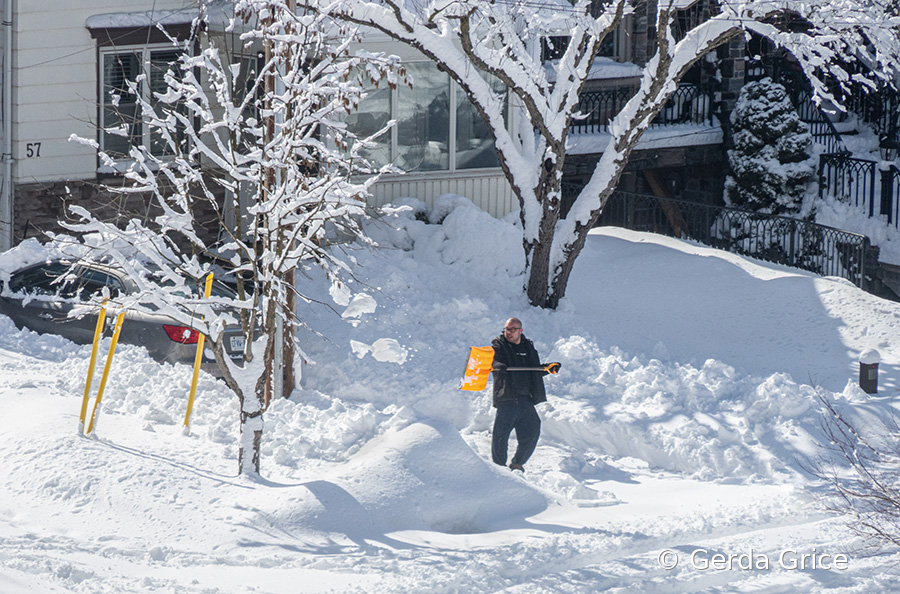 Digging Out