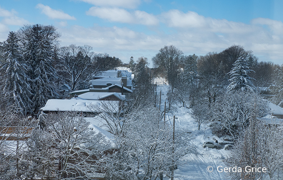 When Winter Works Its Magic in Toronto