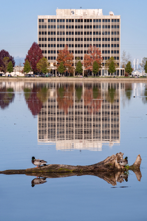 Just Doing A Bit of Reflecting