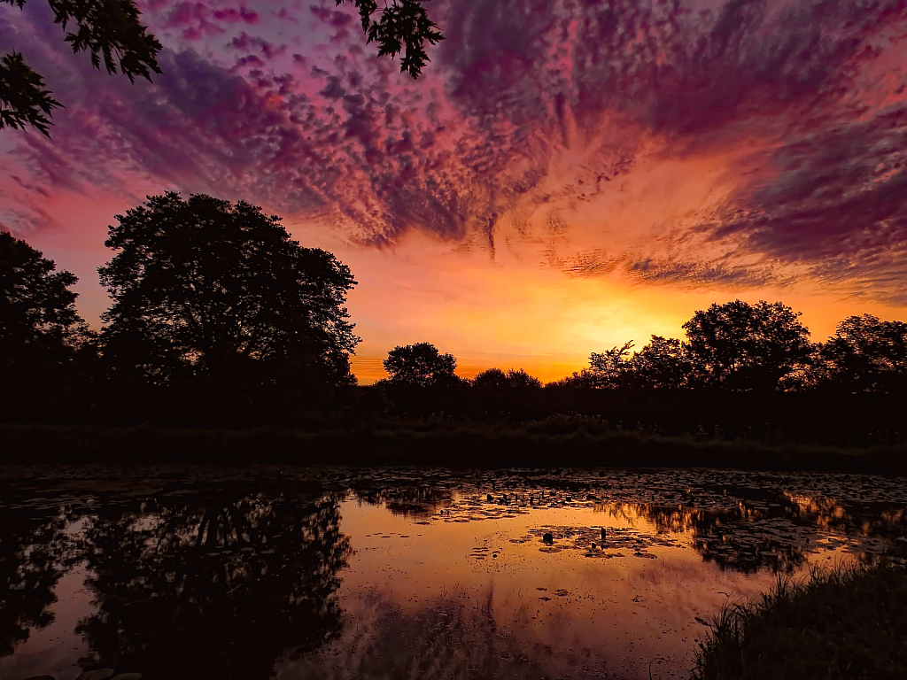 The Pond At Sunrise