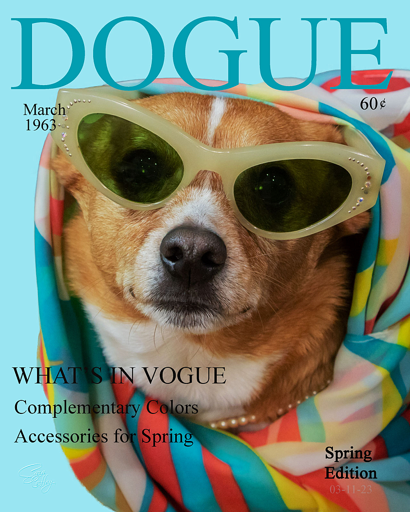 The Cover of Dogue 1963