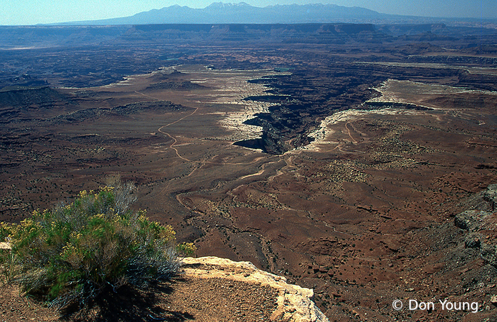 Edge of the Grand Canyon