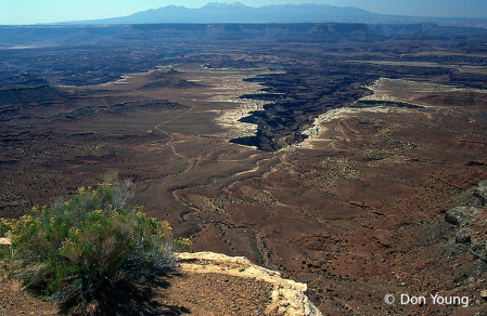 Edge of the Grand Canyon