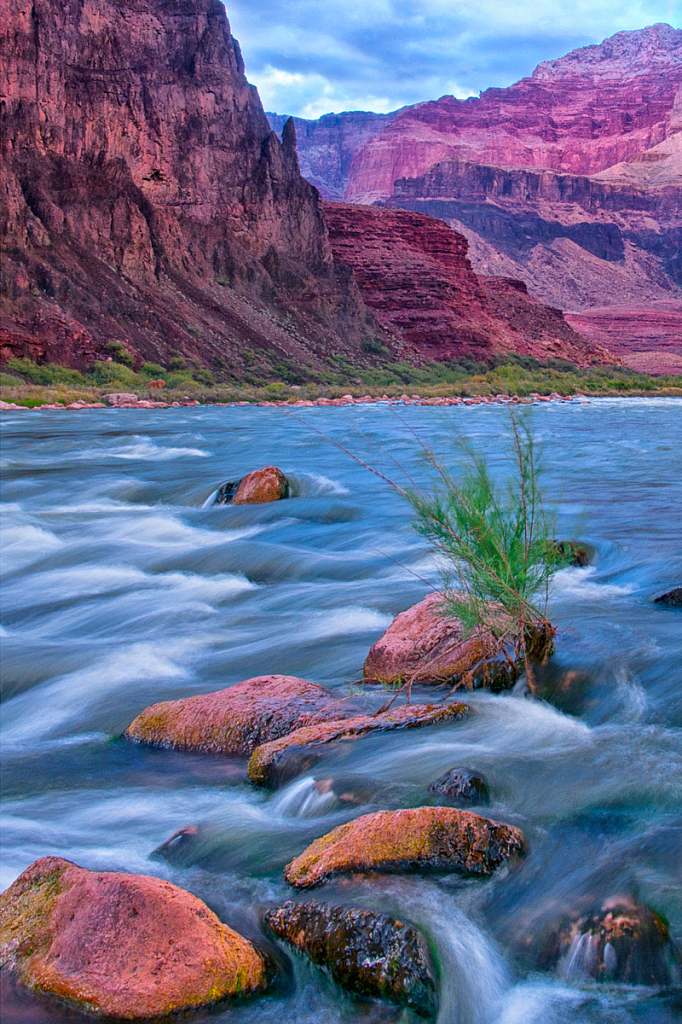 Colorado River, Grand Canyon - ID: 16061750 © Bill Currier