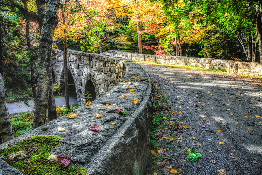 Carriage Trail, Acadia National Park - ID: 16061765 © Bill Currier