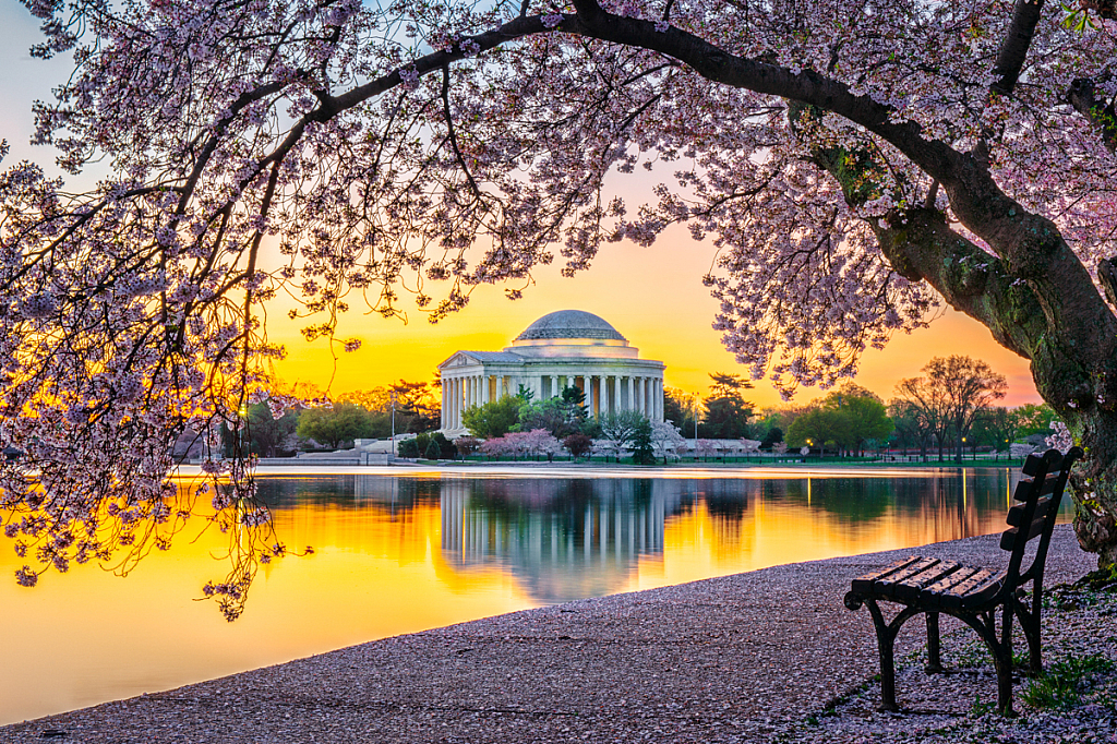 Sunrise Jeferson Memorial - ID: 16061824 © Bill Currier