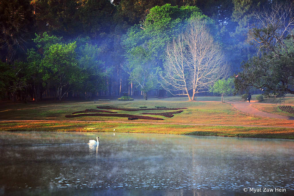 Winter Morning