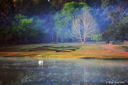 Winter Morning