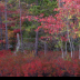 © Bill Currier PhotoID # 16061349: Acadia National Park