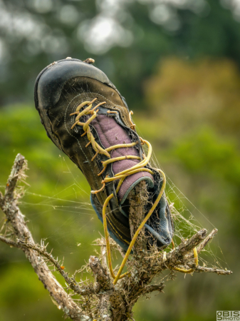 Old shoe