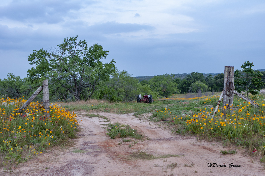 Texas Farm Road - ID: 16061631 © Robert/Donna Green