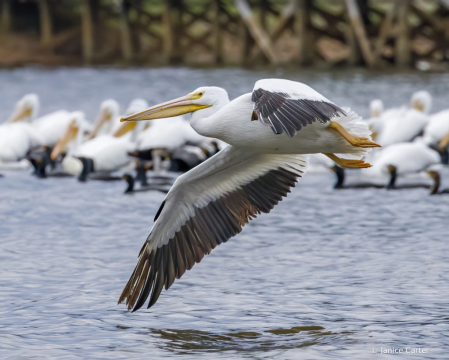 Fly-By