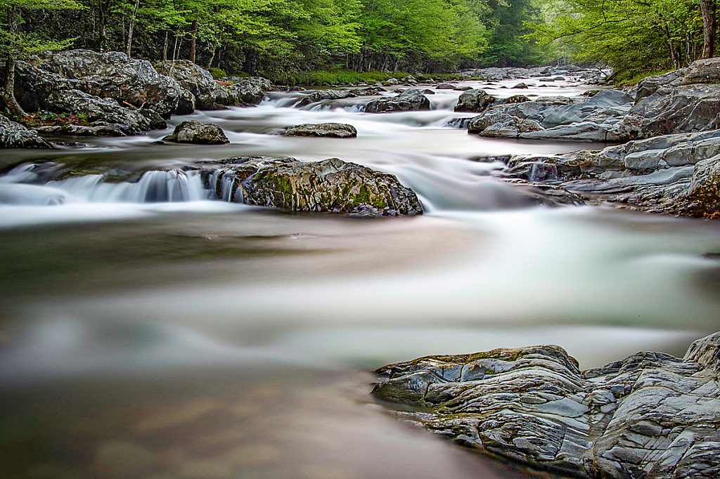 Little Pigeon River, Great Smoky Mountains - ID: 16061599 © Bill Currier