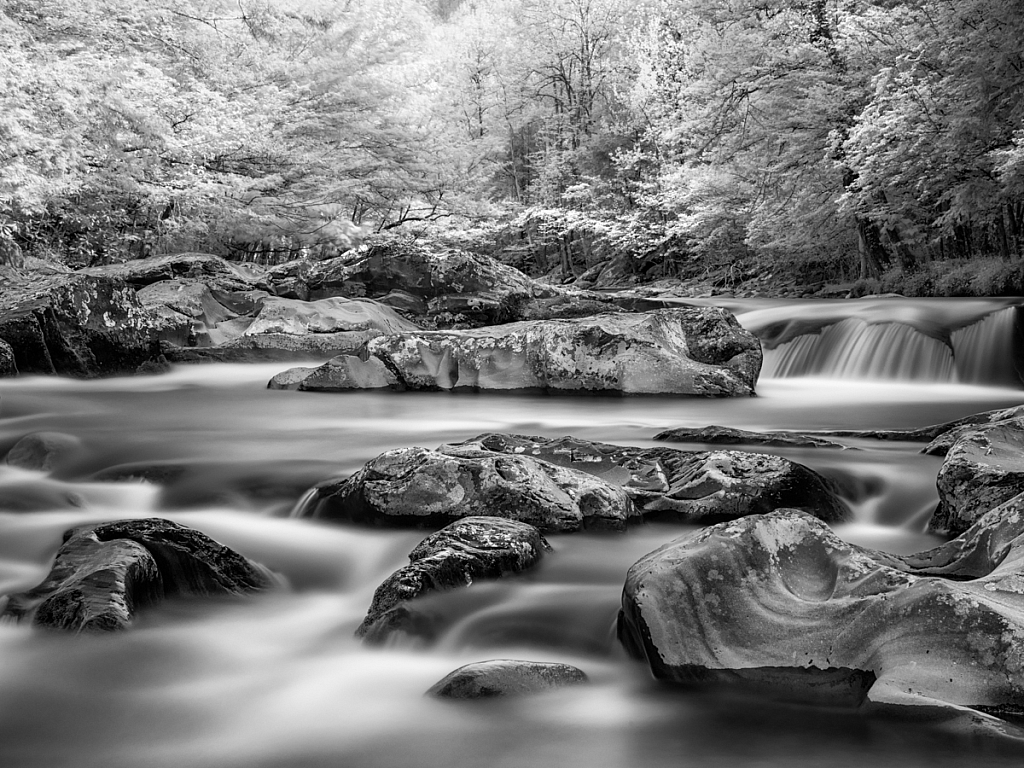 Little Pigeon River - ID: 16061605 © Bill Currier