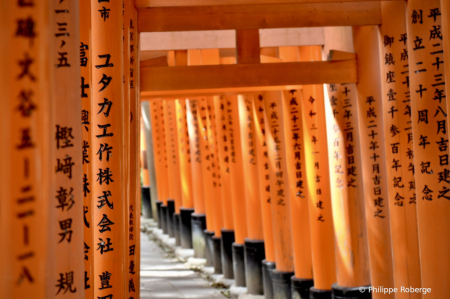 Red Torii