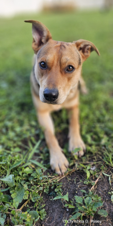 Apollo knows he's handsome 