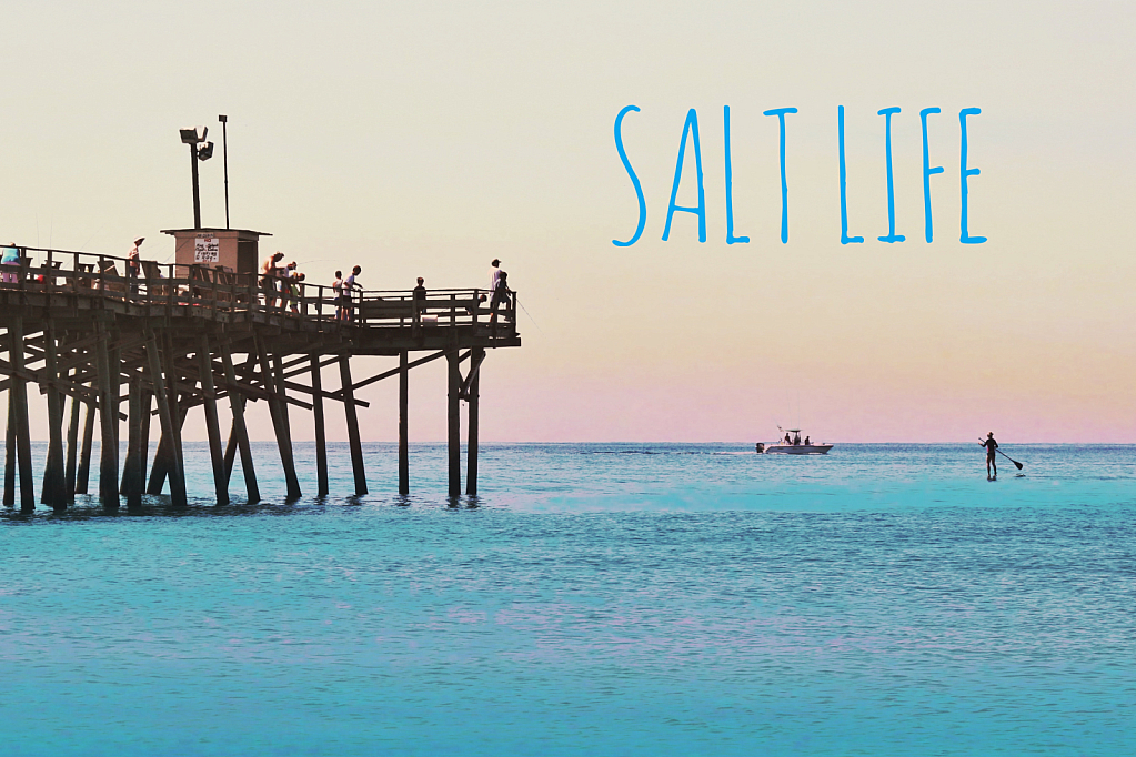 SALT LIFE