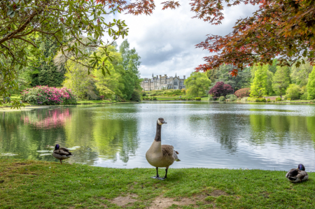 Sheffield Park