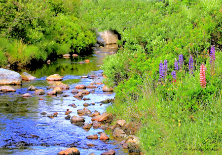 A Peaceful Summer Hideaway 