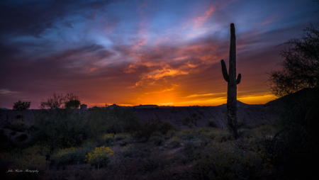 April Sunset