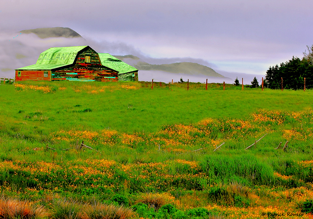 Gallant's Old Barn