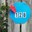 Red Hibiscus 2
